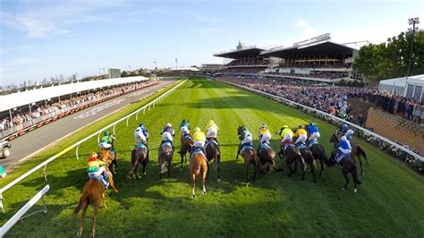 racenet race fields|Horse Racing Results .